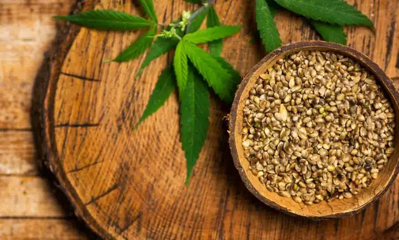 reguläre Cannabis Samen