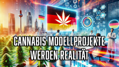 Cannabis Modellprojekte