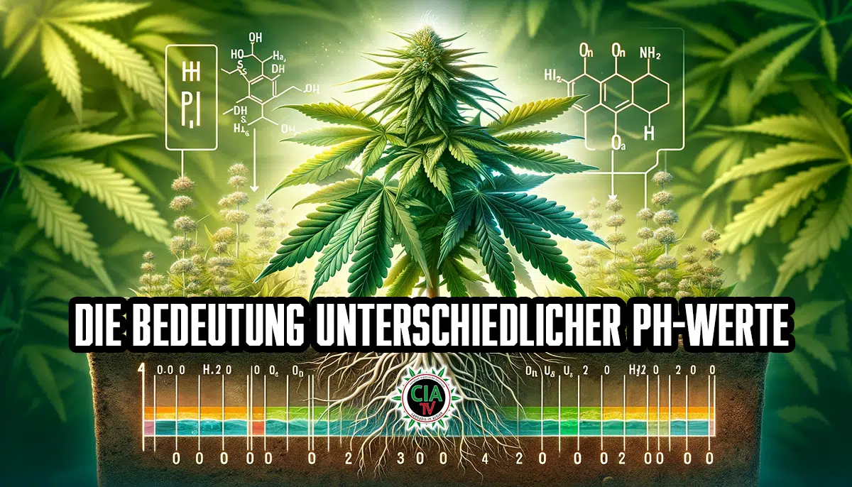 PH-Werte